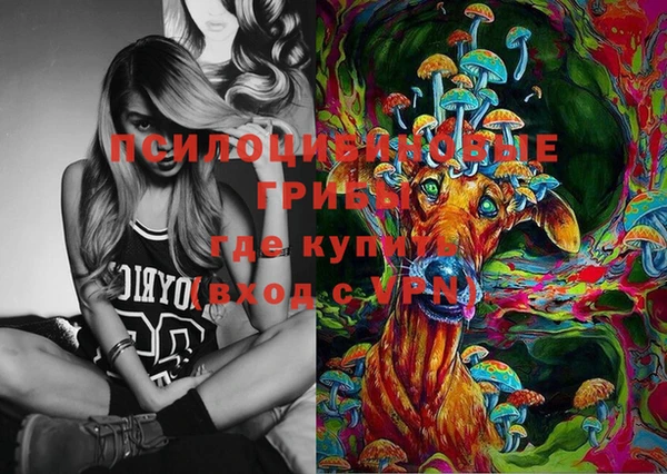 тгк Вязьма