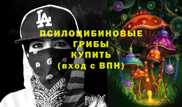a pvp Вяземский