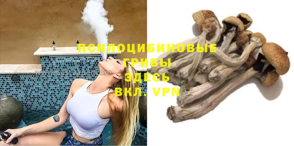a pvp Вяземский