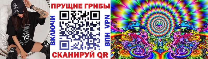 купить наркоту  Кисловодск  Галлюциногенные грибы Magic Shrooms 
